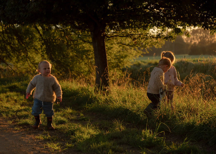 How is colostrum processed?